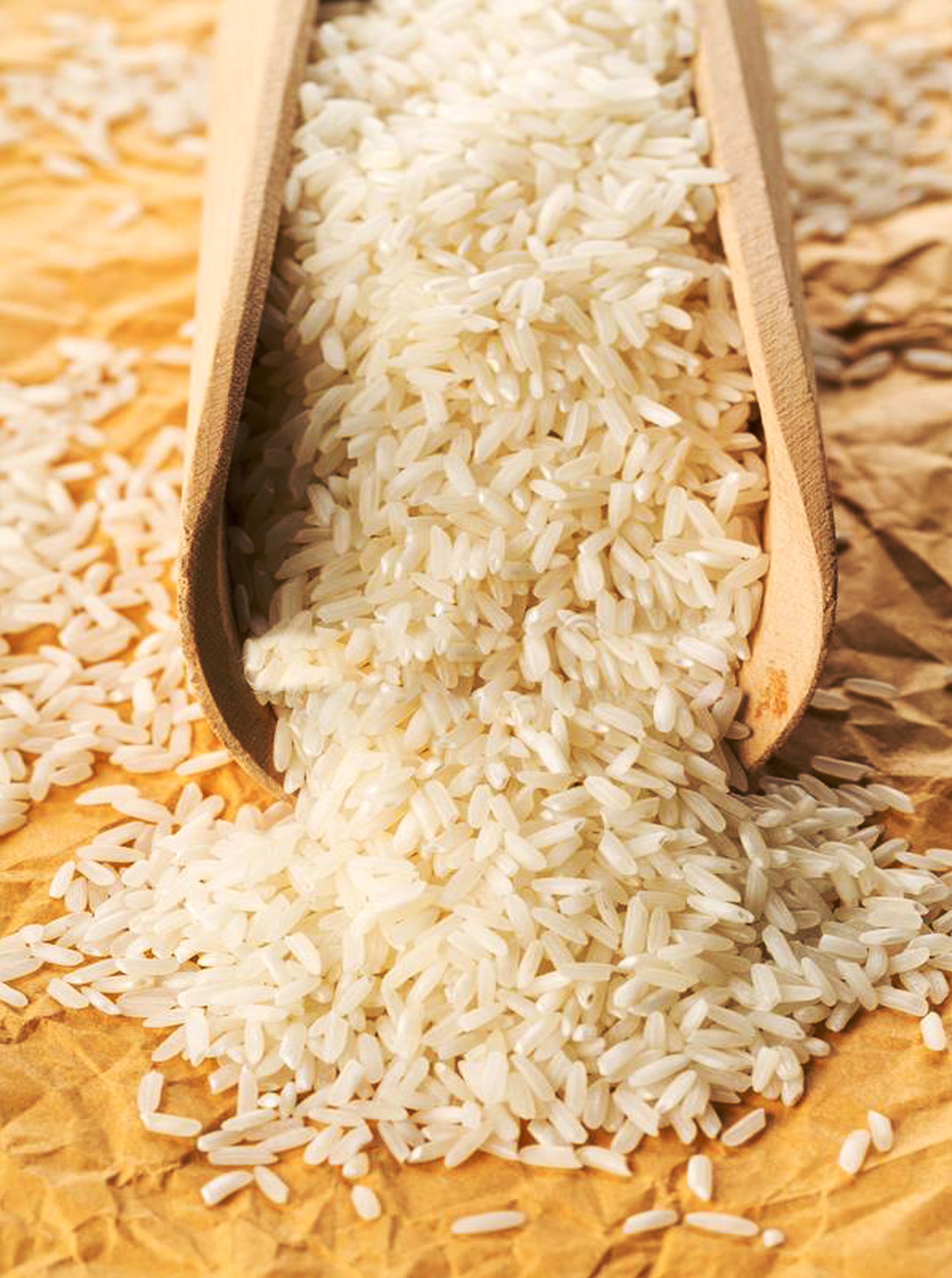 RICE EXPORT
